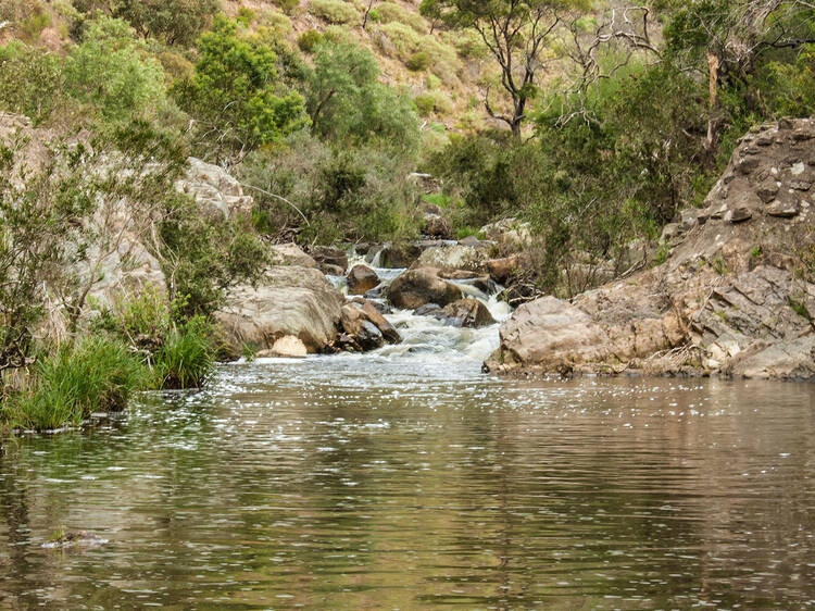 Blackwood Pool at Werribee Gorge