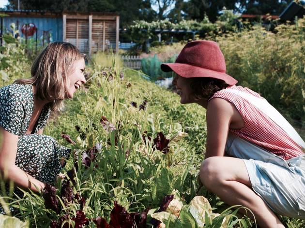 Weed Dating People weeding a garden.