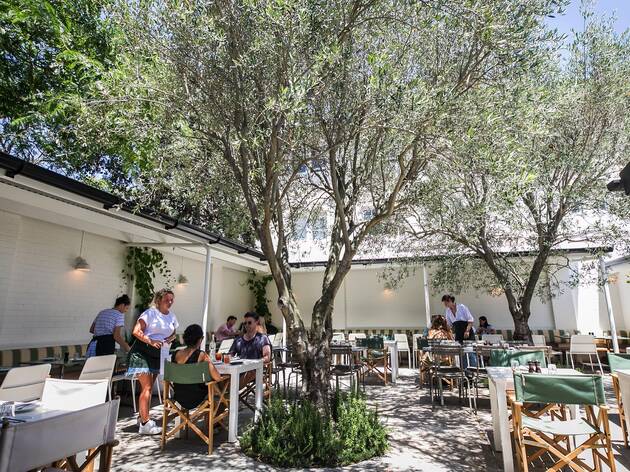 Courtyard at Totti's Bondi Courtyard at Totti's Bondi
