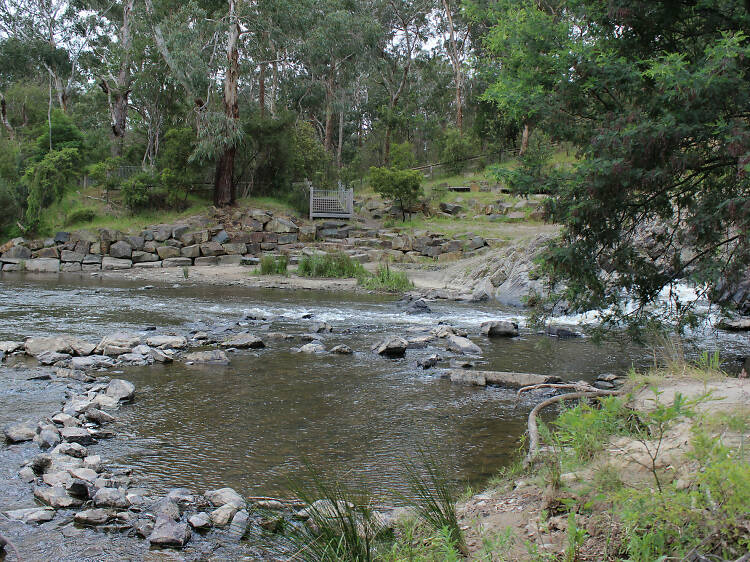 Pound Bend at Warrandyte National Park