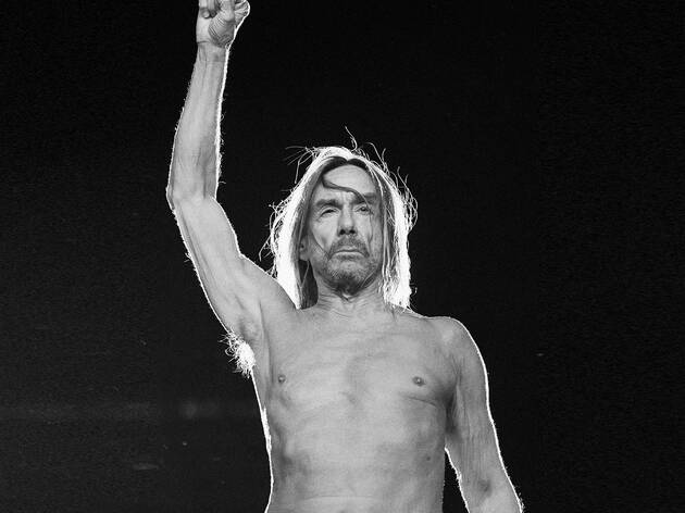 Portrait of Iggy Pop