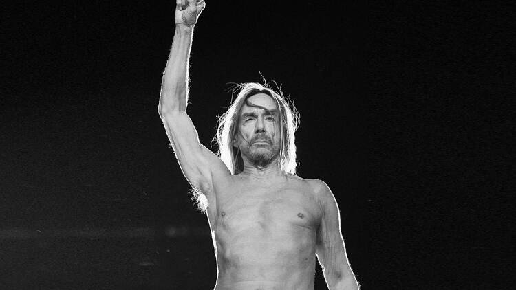 Portrait of Iggy Pop