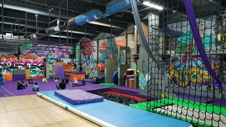 brooklyn zoo ninja gym