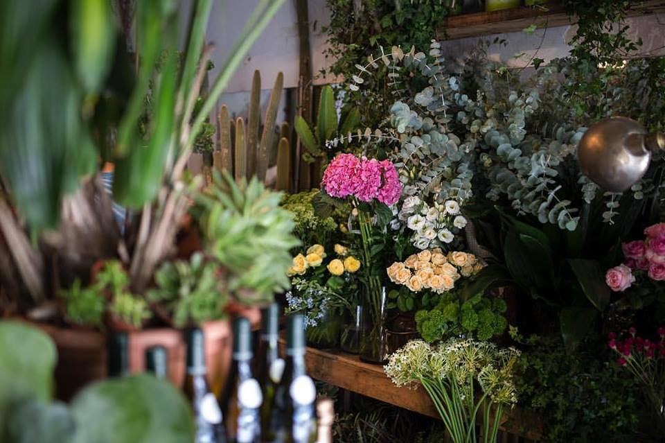 Tel Aviv's top flower shops