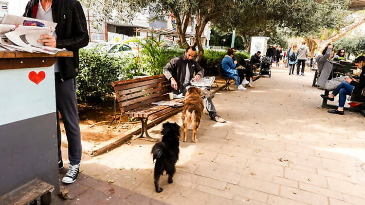 Ben Gurion - Dizengoff