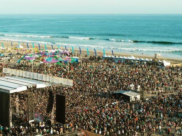 Back to the Beach Festival Back to the Beach Festival