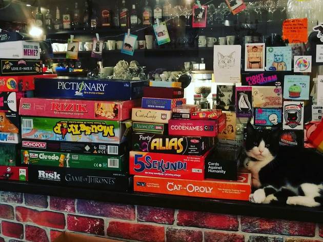 Cat Caffe Zagreb Cat Caffe Zagreb