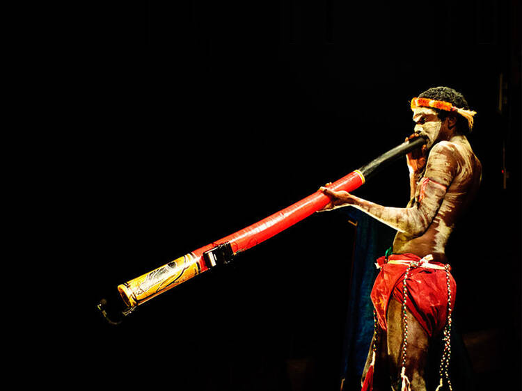 Didgeridoo