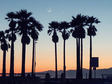 The best date ideas in Los Angeles The best date ideas in Los Angeles