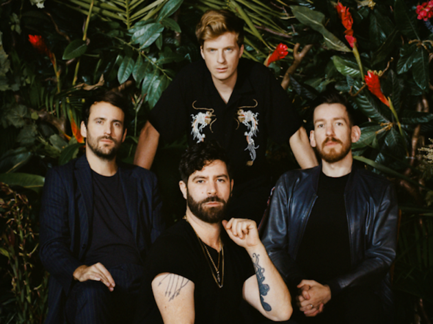 Foals Foals