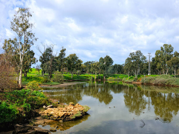 The best picnic spots in Tel Aviv