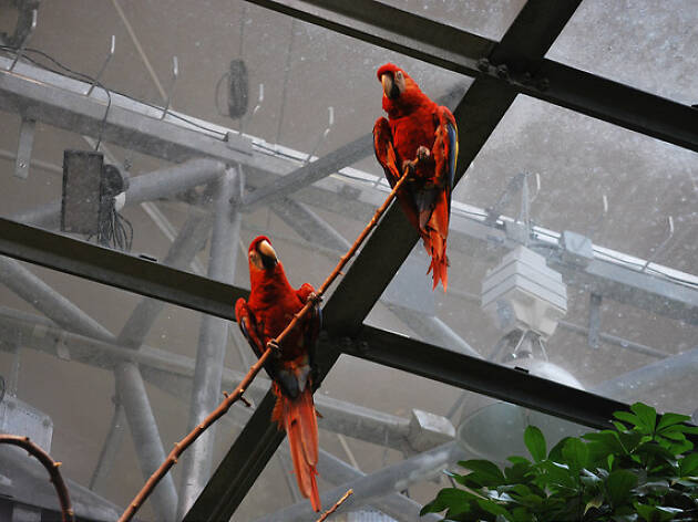 Montreal Biodome Montreal Biodome
