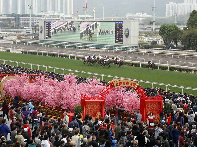 Chinese New Year Raceday Chinese New Year Raceday