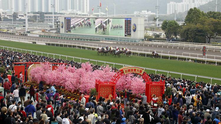 Chinese New Year Raceday