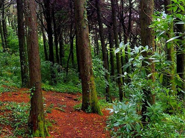Passeio Green Trekker Passeio Green Trekker