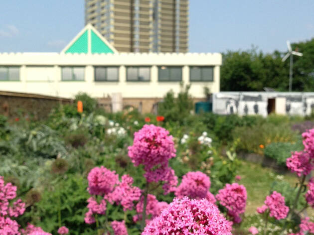 Abbey Gardens, press 2018 Abbey Gardens, press 2018