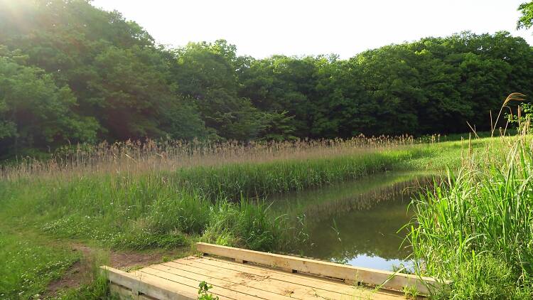 都立野山北 六道山公園