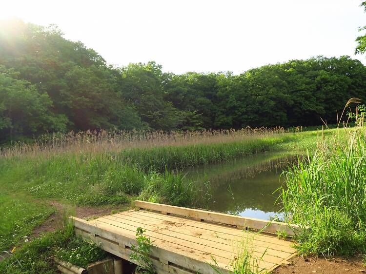 都立野山北 六道山公園