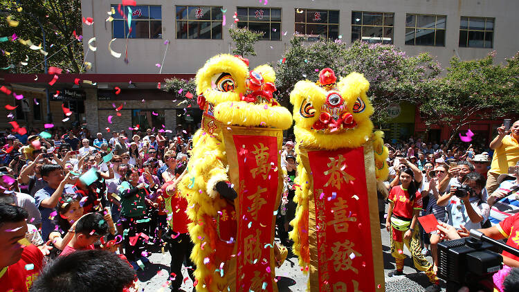 Crowd watches traditional lion dance.