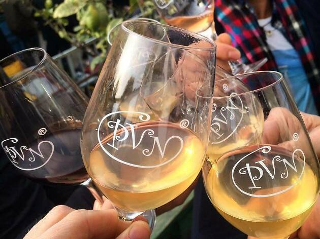 Saló dels Vins Naturals Saló dels Vins Naturals