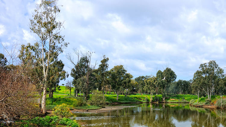 A picnic in the park