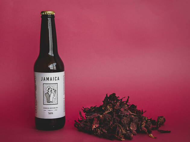 Nopa Kombucha Nopa Kombucha