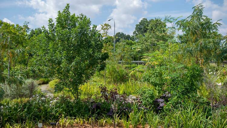 Edible Garden City