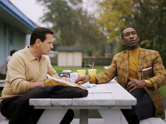 The green book The green book