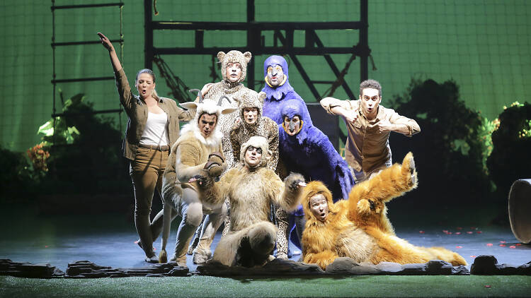 'Zoo', o musical 'Zoo', o musical