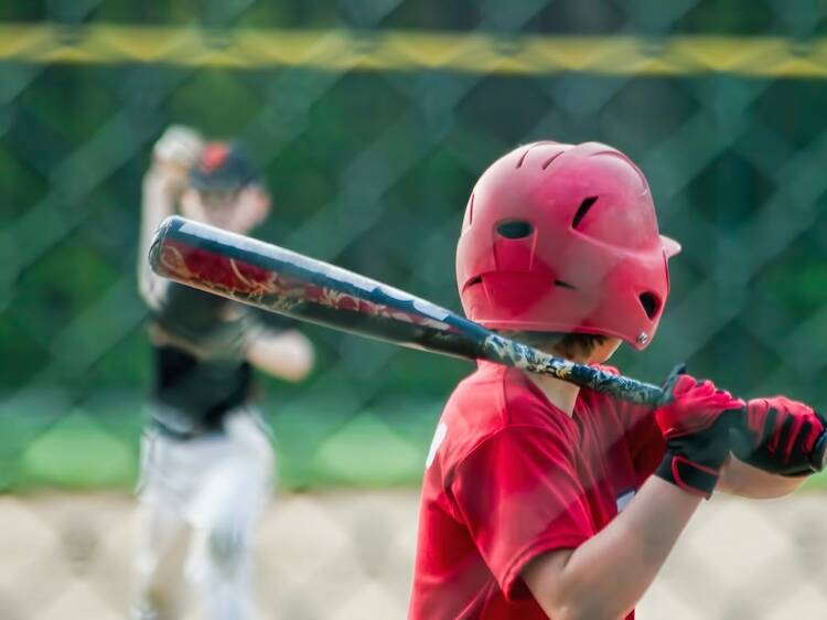 New York Empire Baseball Camps