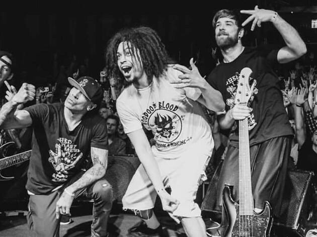 Hed PE Hed PE