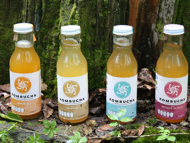 Kombucha La Semilla Colectivo Kombucha La Semilla Colectivo