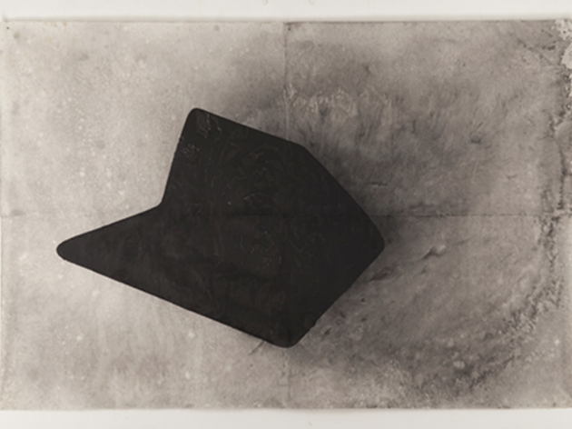 Dark Flight, 2018 Dark Flight, 2018