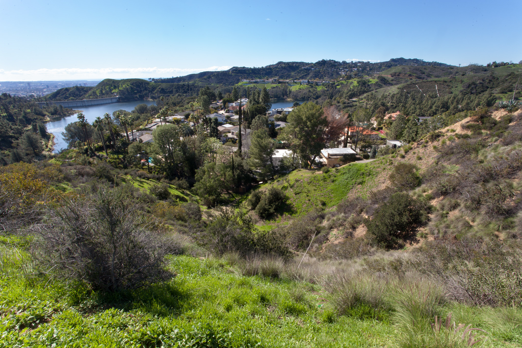 Los Angeles is a snowy, green paradise right now