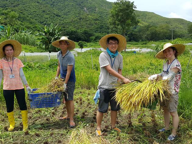 Yi O Farm Yi O Farm