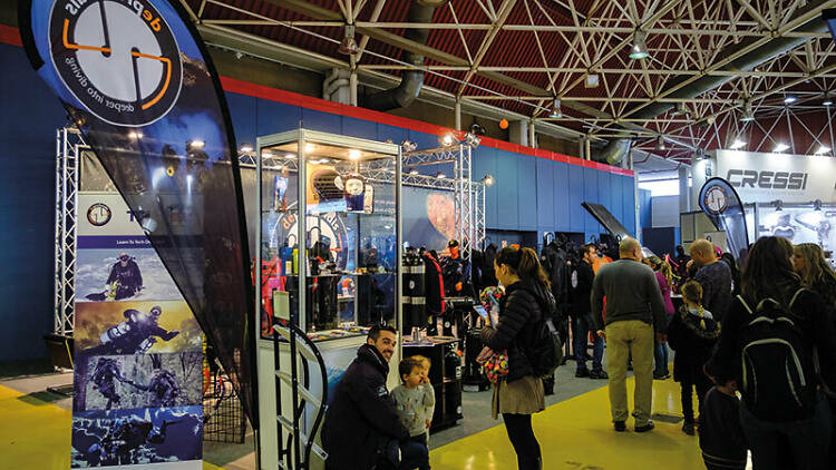 Mediterranean Diving Show