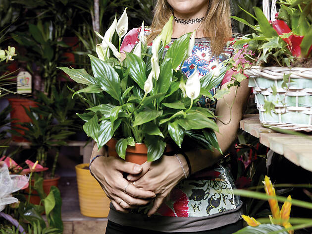 Flors Navarro Flors Navarro