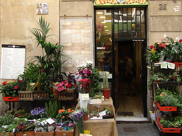 Petit jardí Petit jardí