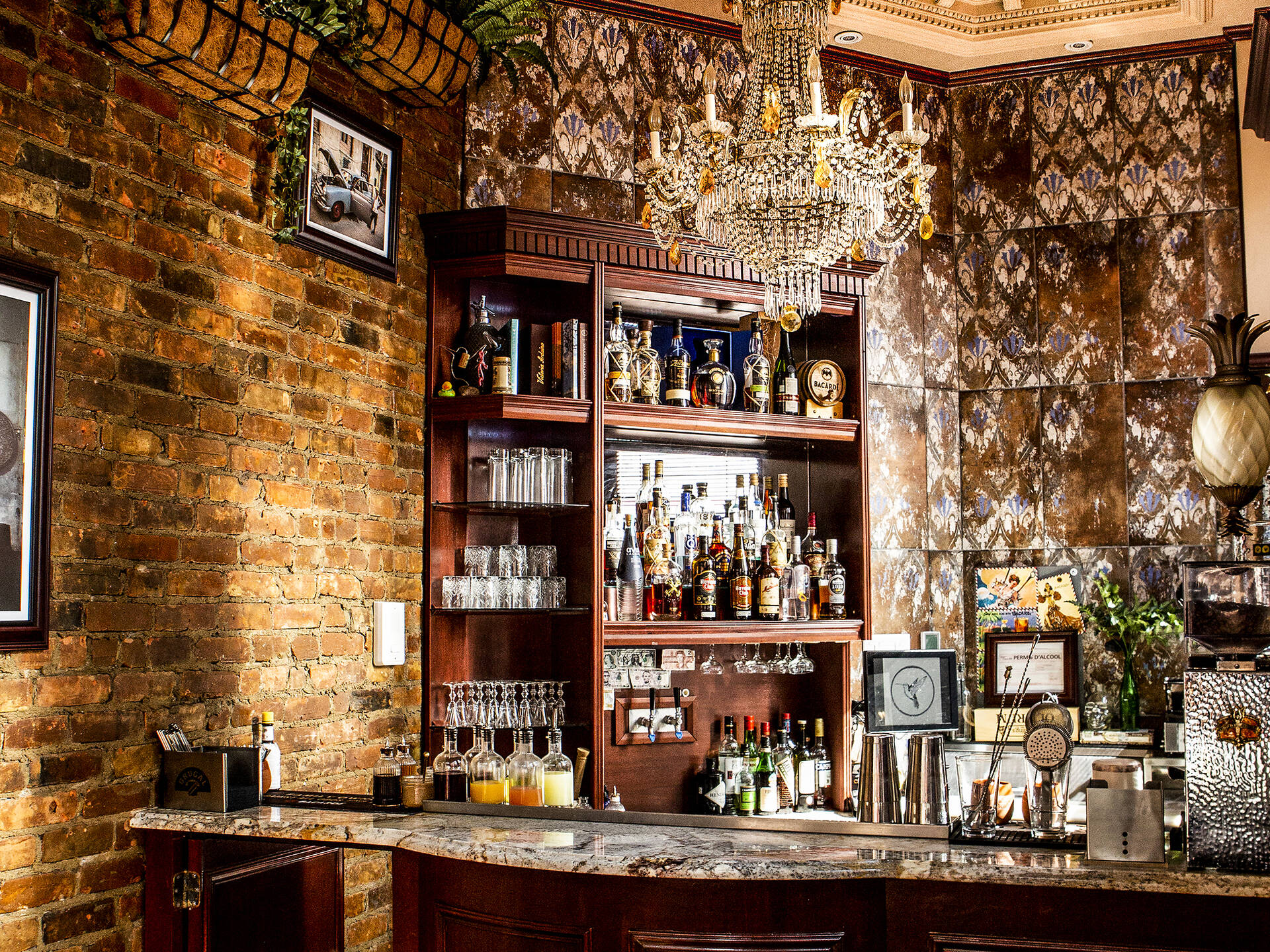 65 Best Bars in Montreal Right Now