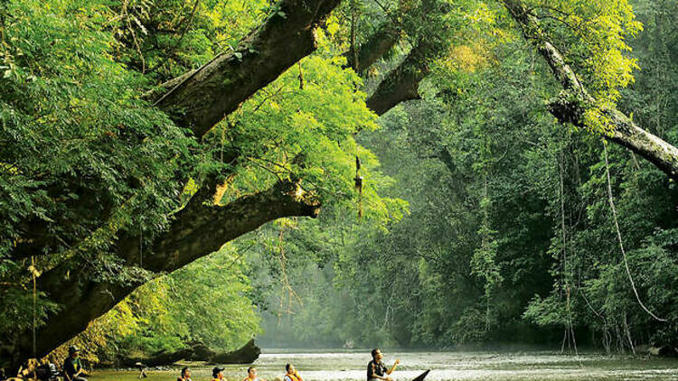 Taman Negara