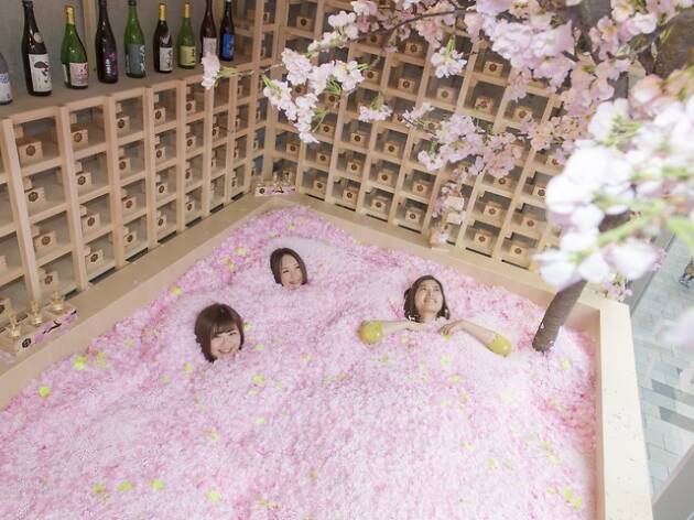 SAKURA CHILL BAR by 佐賀 SAKURA CHILL BAR by 佐賀
