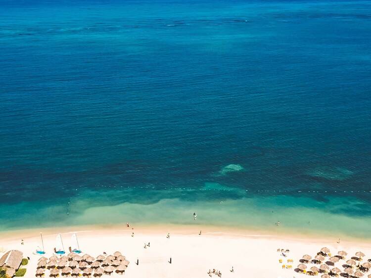 A beach in Jamaica