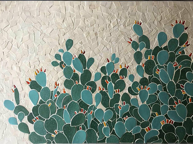 Space Cactus Space Cactus