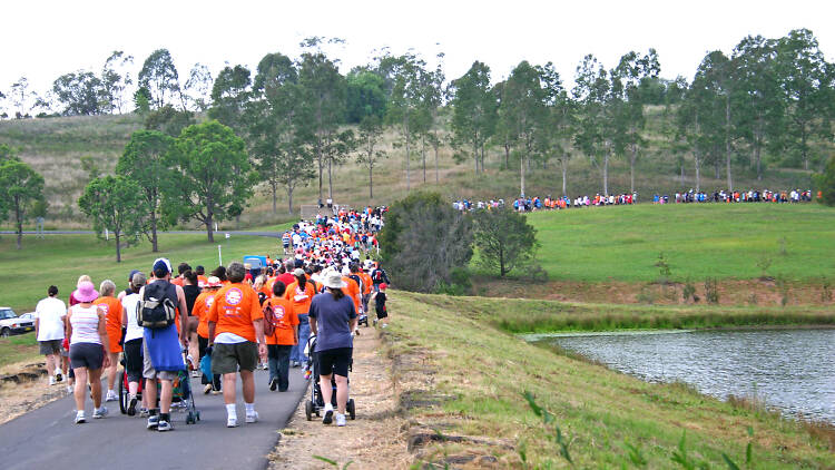 People walking past a lake on the Campbelltown City Challenge Walk.