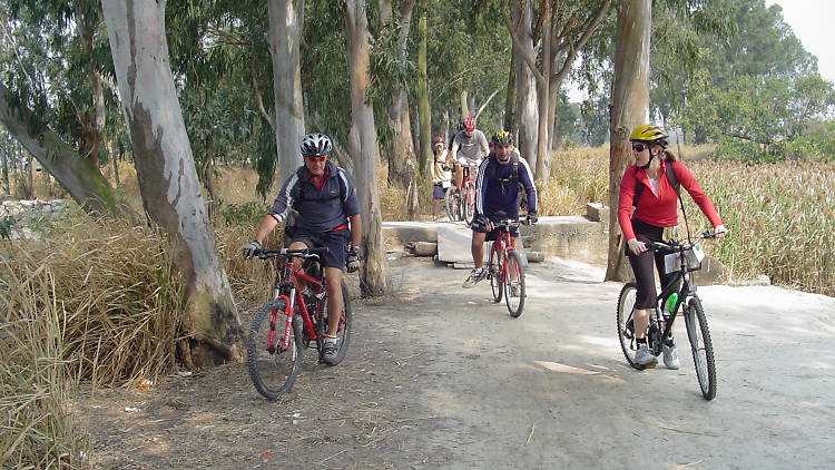 Mountain Biking Asia 