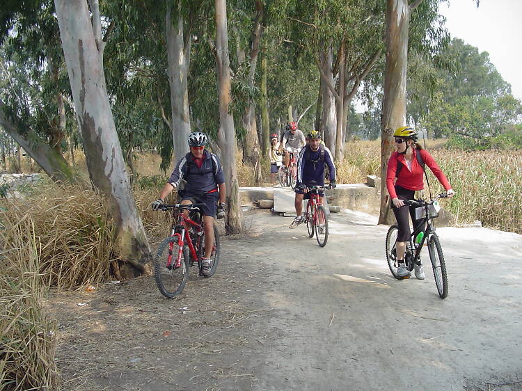 Mountain Biking Asia 