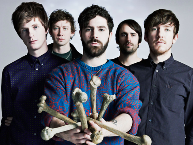 Foals Foals