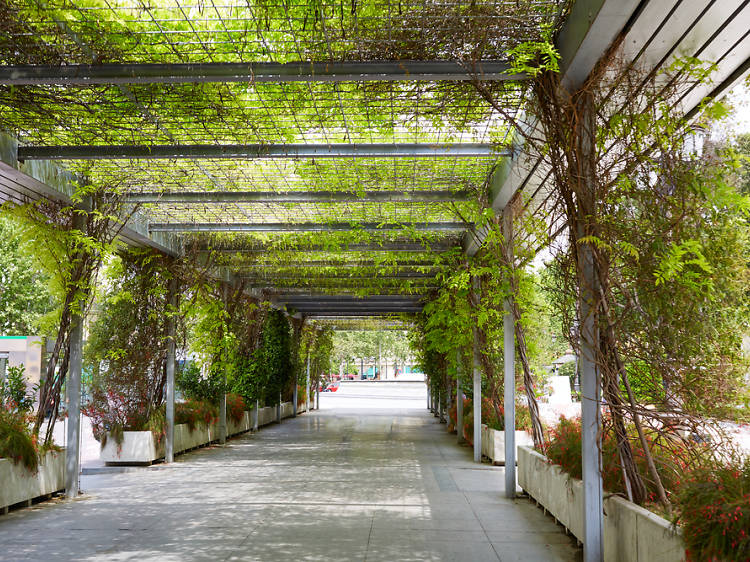 Jardines de Cristina