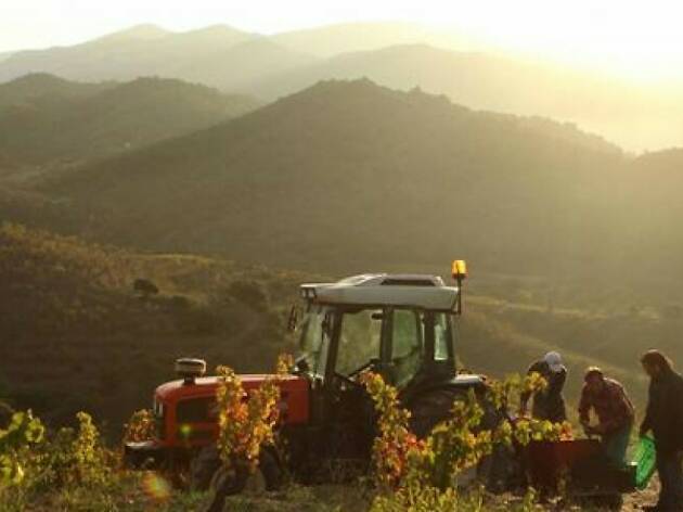 Priorat Priorat