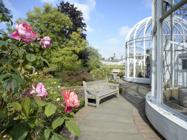 Find tropical plants, birds and butterflies at the Botanical Gardens